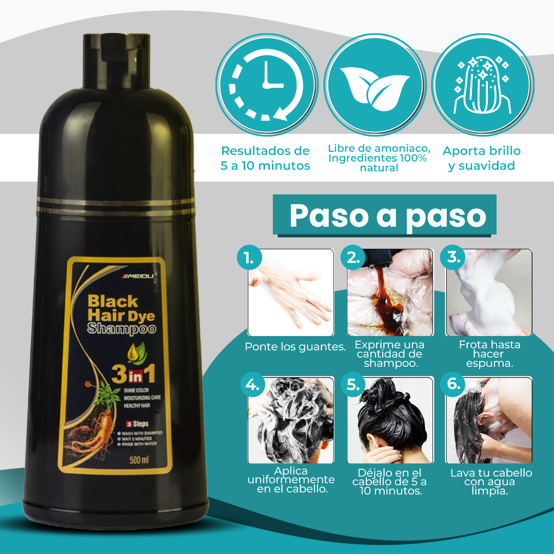 SHAMPO HAIR DYE